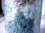 jar contaminated with green mold